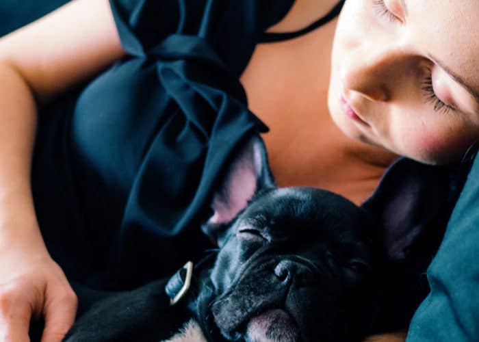 House sitting: a alternativa para você se hospedar de graça pelo mundo